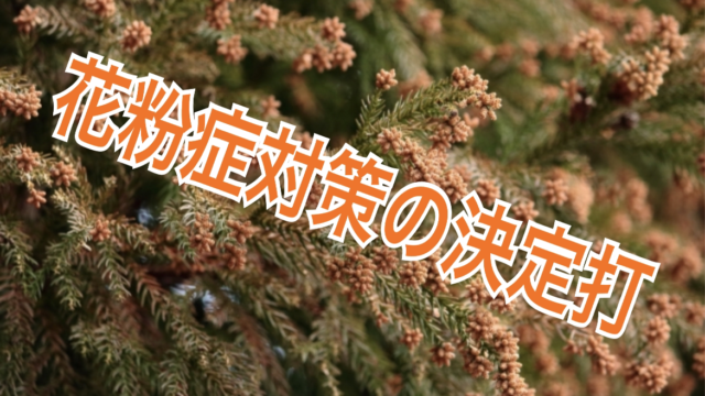 花粉症　対策　決定打　ジャムーティー